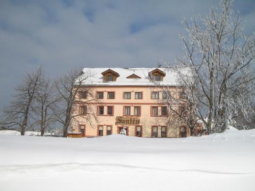 Foto - Alloggiamento in Teplice - Hotel Santén