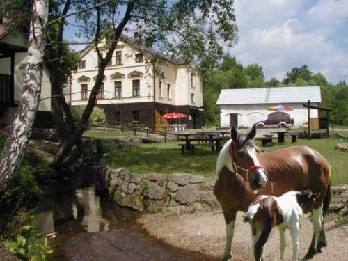 Foto - Alloggiamento in Lučany nad Nisou - Pension a ranč U potoka