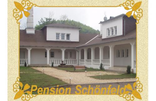 Foto - Alloggiamento in Chřibská - Pension Schönfeld -Chřibská-Krásné Pole