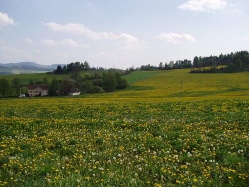 Foto - Alloggiamento in Čkyně - Penzion a chata Na Vápence