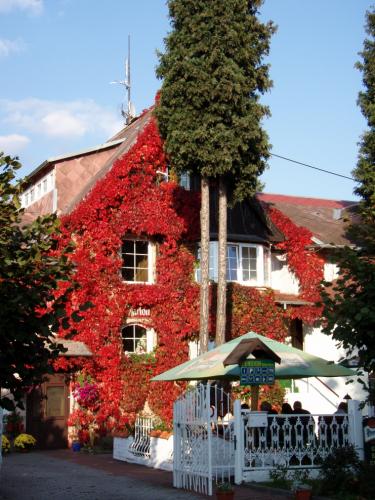 Foto - Alloggiamento in Mariánské Lázně - Penzion Villa Marion