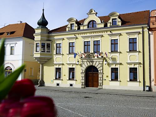 Foto - Alloggiamento in Stříbro - Hotel Alexander