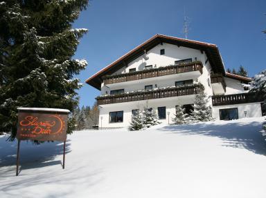 Foto - Alloggiamento in Bayerisch Eisenstein - Penzion Sluneční Dvůr