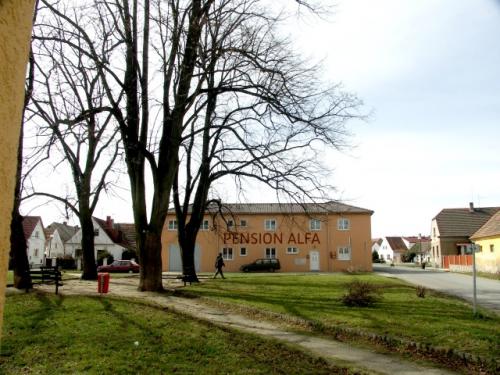 Foto - Alloggiamento in Přeštice - Pension alfa