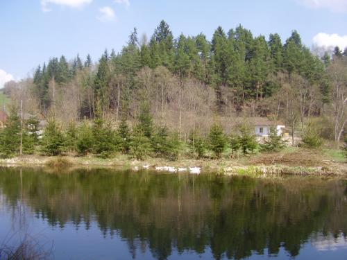 Foto - Alloggiamento in Vacov - Penzion u Doulů Mlýny