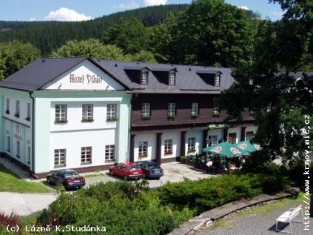 Foto - Alloggiamento in Karlova Studánka - Hotel Džbán