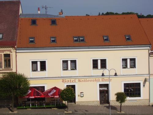 Foto - Alloggiamento in Hořice v Podkrkonoší - Hotel královský Dvůr